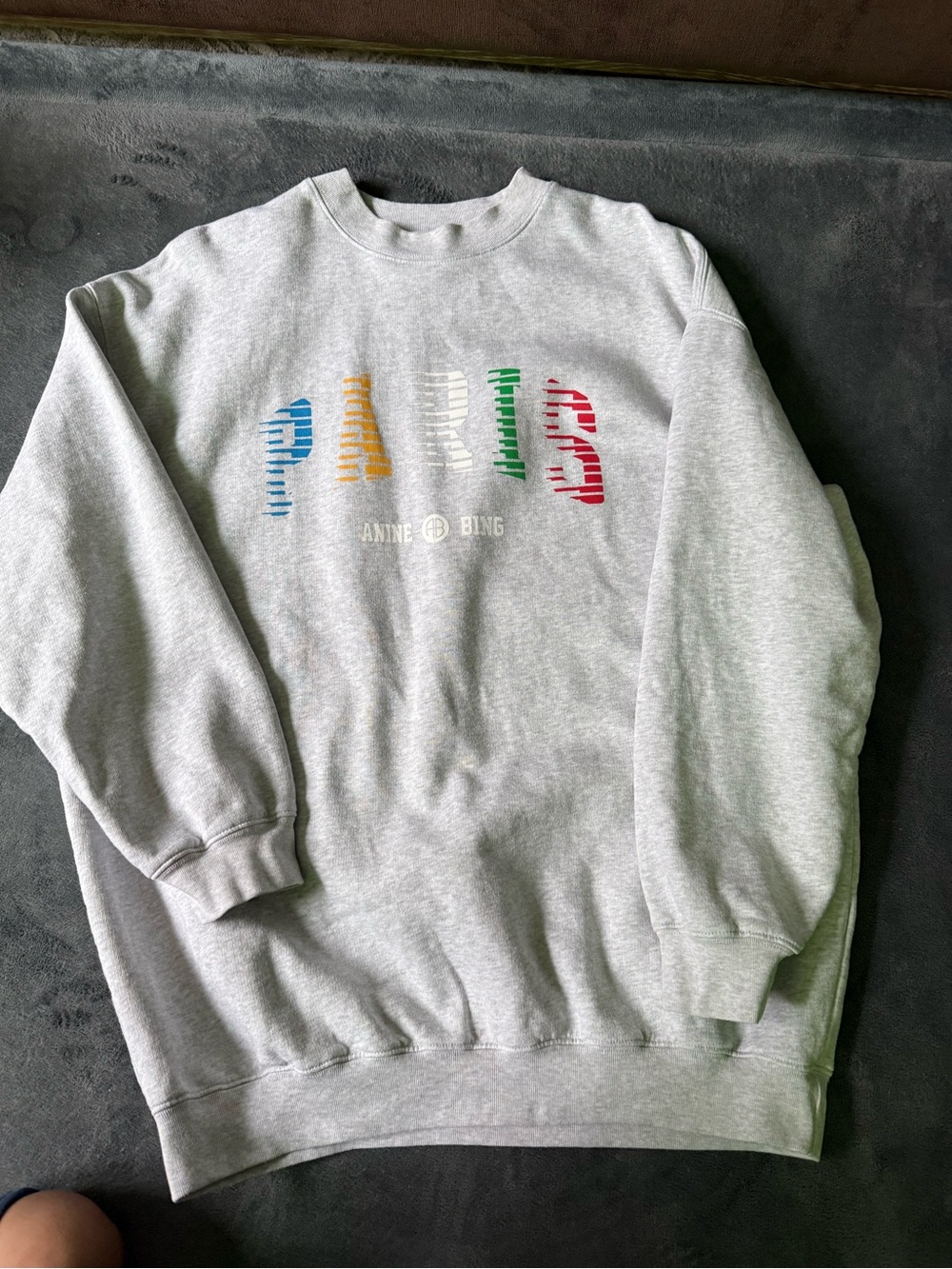 Anine Bing Tyler Sweatshirt with Multicolor 'PARIS' Logo
